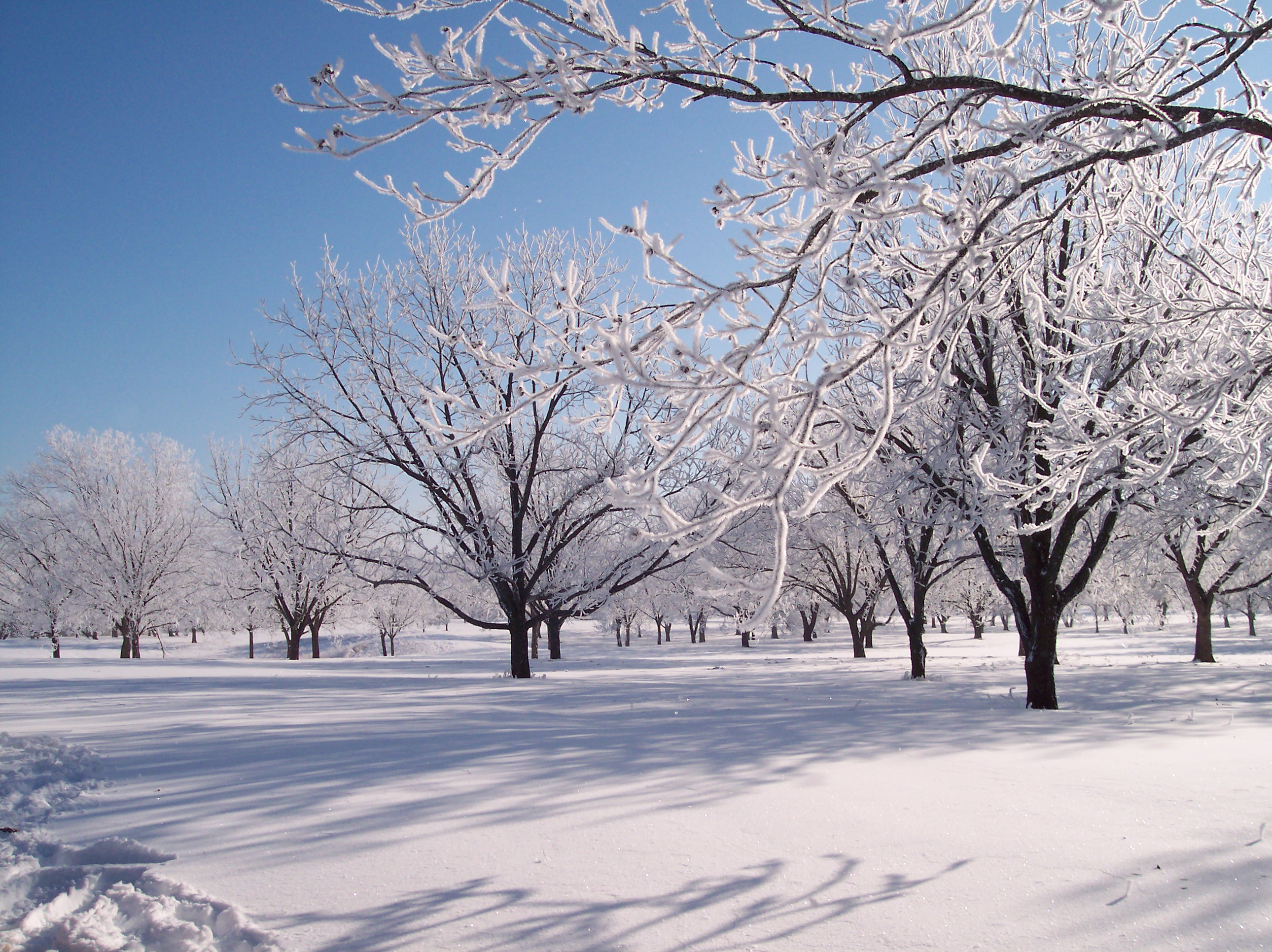 Winter storm closes down OCCC