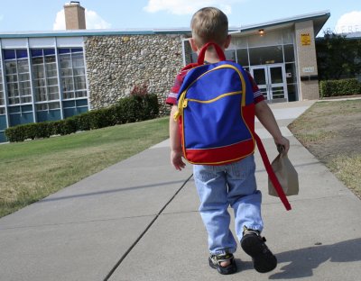 Only 30 percent of children receive appropriate schooling, expert says